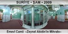SURYE  AM Emev Camii  Zeynel Abidin'in Mihrab