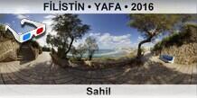 FLSTN  YAFA Sahil