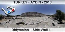 TURKEY â€¢ AYDIN Didymaion  â€“Side Wall IIIâ€“