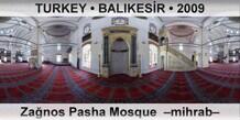 TURKEY â€¢ BALIKESÄ°R ZaÄŸnos Pasha Mosque  â€“Mihrabâ€“