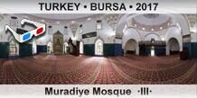 TURKEY â€¢ BURSA Muradiye Mosque  Â·IIIÂ·