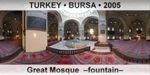 TURKEY â€¢ BURSA Great Mosque  â€“Fountainâ€“