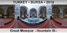 TURKEY â€¢ BURSA Great Mosque  â€“Fountain IIIâ€“