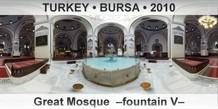 TURKEY â€¢ BURSA Great Mosque  â€“Fountain Vâ€“