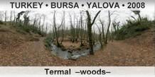 TURKEY • BURSA • YALOVA Termal  –Woods–