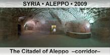SYRIA â€¢ ALEPPO The Citadel of Aleppo  â€“Corridorâ€“