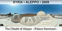 SYRIA â€¢ ALEPPO The Citadel of Aleppo  â€“Palace Hammamâ€“