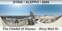 SYRIA â€¢ ALEPPO The Citadel of Aleppo  â€“Ring Wall IIIâ€“