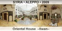 SYRIA â€¢ ALEPPO Oriental House  â€“Liwanâ€“