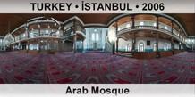 TURKEY â€¢ Ä°STANBUL Arab Mosque