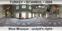 TURKEY â€¢ Ä°STANBUL Blue Mosque  â€“Pulpit's rightâ€“