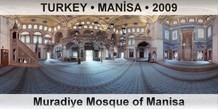 TURKEY â€¢ MANÄ°SA Muradiye Mosque of Manisa