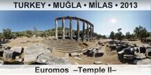 TURKEY â€¢ MUÄ�LA â€¢ MÄ°LAS Euromos  â€“Temple IIâ€“