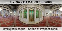 SYRIA â€¢ DAMASCUS Umayyad Mosque  â€“Shrine of Prophet Yahiaâ€“